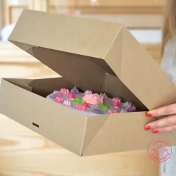 2 boites de transport pour macarons et biscuits