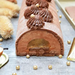 Coffret bûche de Noël - Moules, insert, tapis & recettes
