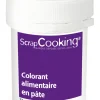 Colorant alimentaire en pâte aubergine 20g