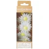 Décors azyme marguerites blanches x18