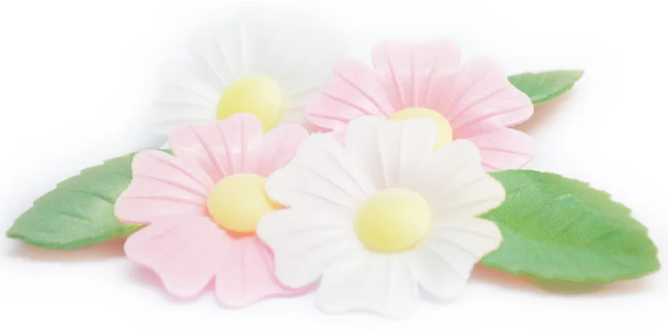 Fleurs azyme églantines x6 & feuilles vertes x6