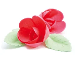 Fleurs azyme roses rouges x4 & feuilles vertes x6