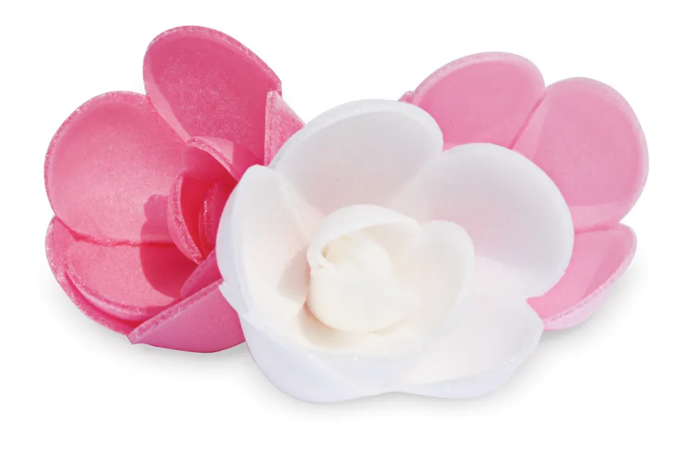 Fleurs azymes 6 roses