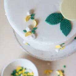 Mix de décors sucrés tarte aux citrons meringuée 30g