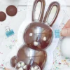 Moule 3D choco lapin