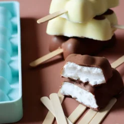 Moule en silicone pour glaces Magnum oursons