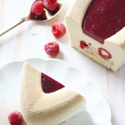 Moule silicone 3D bûche et entremets - Barquette