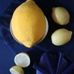 Moule silicone trompe l'œil Citron - Ø12 cm