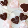 Moules silicone airfryer cœur x6