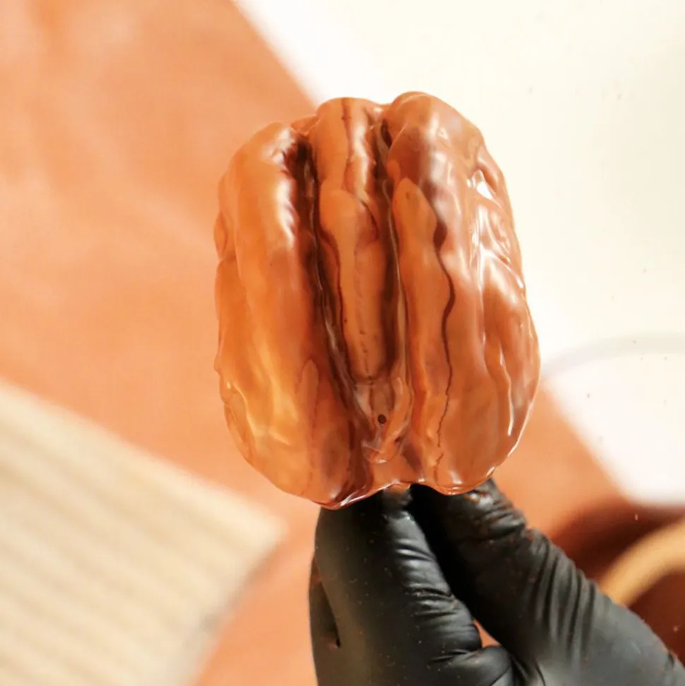 Moule Trompe-l'œil Noix de pécan silicone