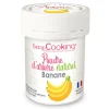 Poudre d'arôme naturel banane