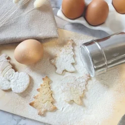 Saupoudreuse pour sucre glace, cacao et plus