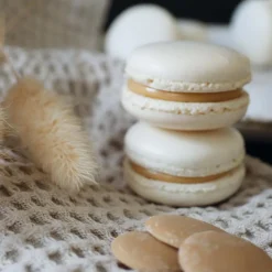 Tapis en silicone pour macarons